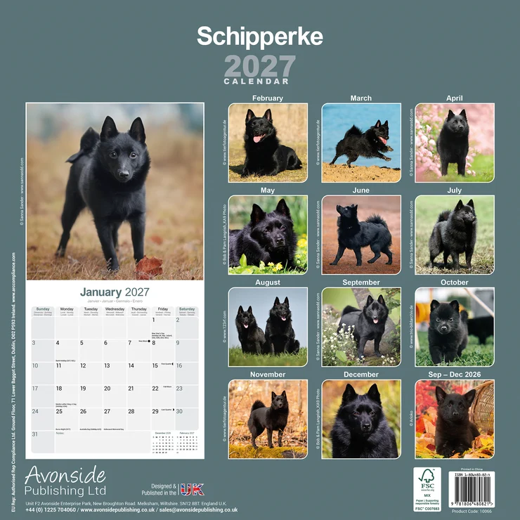 Calendrier 2026 Schipperke