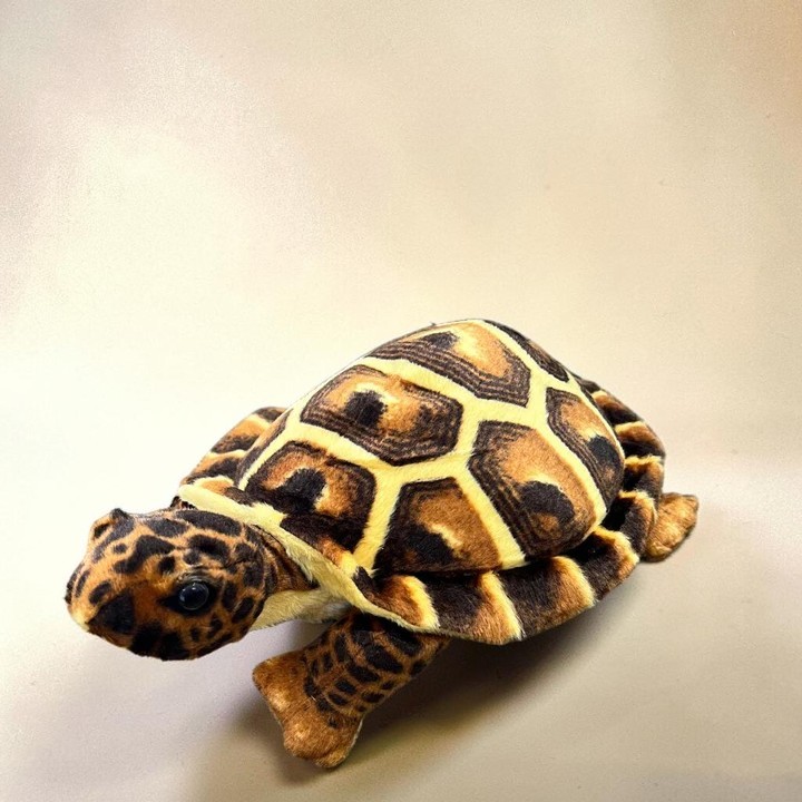 Plüschtier-Schildkröte mit gemustertem Panzer aus hellgelben Linien und dunkelbraunen, unregelmäßigen Flecken. Kopf und Beine mit gesprenkeltem Braun-Schwarz-Muster. Seitlich, Blick nach links, vor hellbeigem Hintergrund.