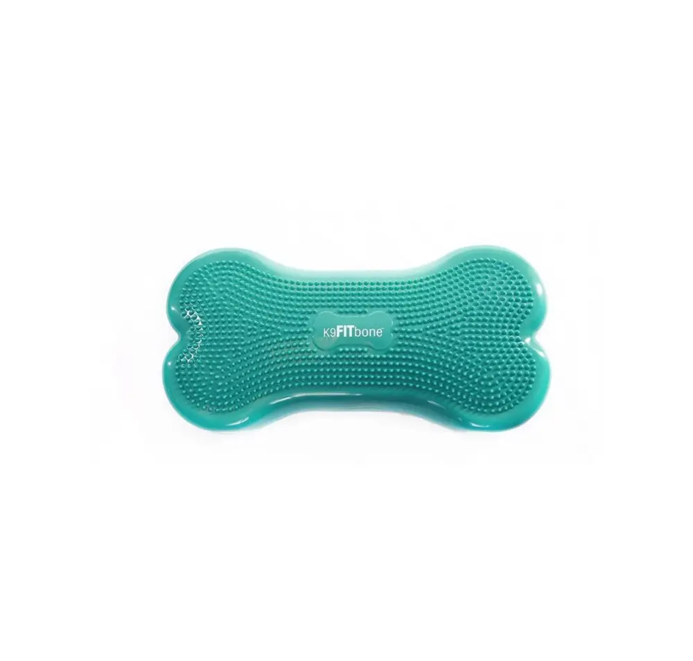 Mintgrünes, knochenförmiges Trainingsgerät mit strukturierter Oberfläche aus vielen kleinen Noppen. Mittig ist das K9FITBone-Logo in erhabener Schrift zu sehen. Balancekissen für Hunde zur Stärkung von Fitness, Koordination und Kernmuskulatur.