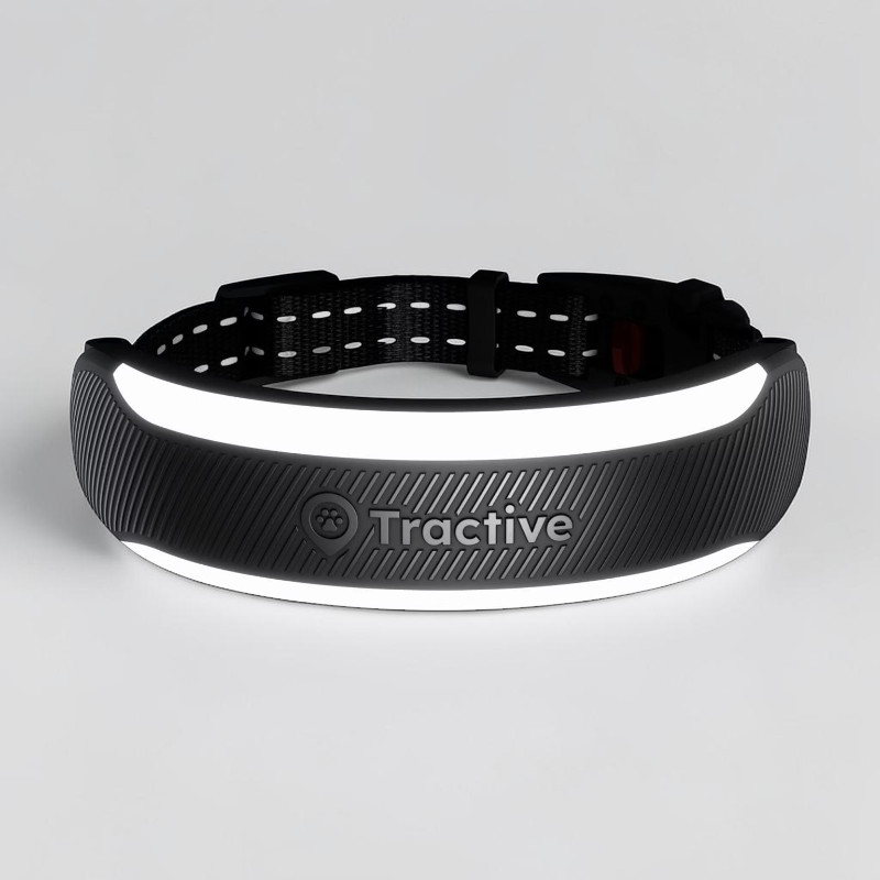 GPS Tracker Tractive Cat 6 Mini