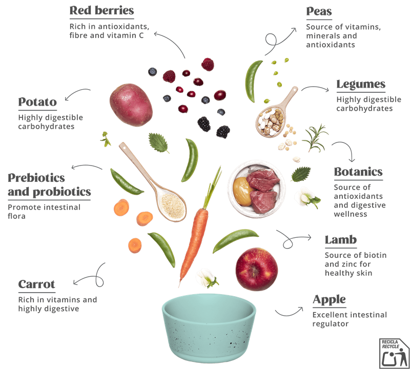 Summit10 - Adult - FRESH LAMB