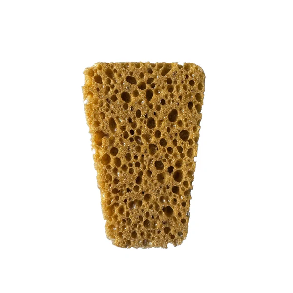 A rectangular, beige sponge with lots of small holes.