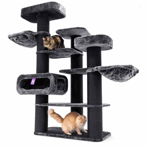 Tiragraffi alto grigio scuro con più livelli. Un gatto tigrato marrone è su una piattaforma intermedia, mentre un gatto marrone chiaro è accucciato al livello più basso. Ha caverne, nicchie e superfici per graffiare.