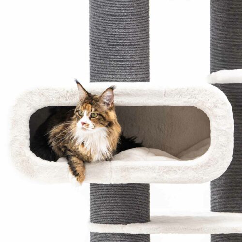 Braun-weiß-schwarz getigerte Maine Coon mit grünen Augen liegt entspannt in ovaler, cremefarbener Plüsch-Katzenhöhle am Kratzbaum mit dunkelgrauen Sisal-Säulen. Blickt aufmerksam nach links, eine Pfote hängt über den Rand.
