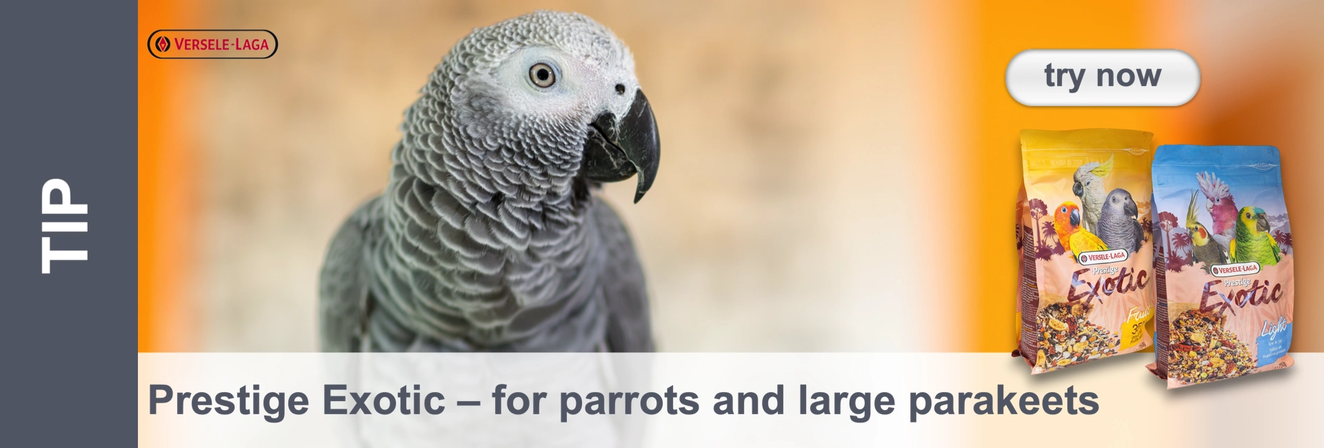 A grey parrot with a dark beak looks attentively to the right. In the background you can see bird food packs.