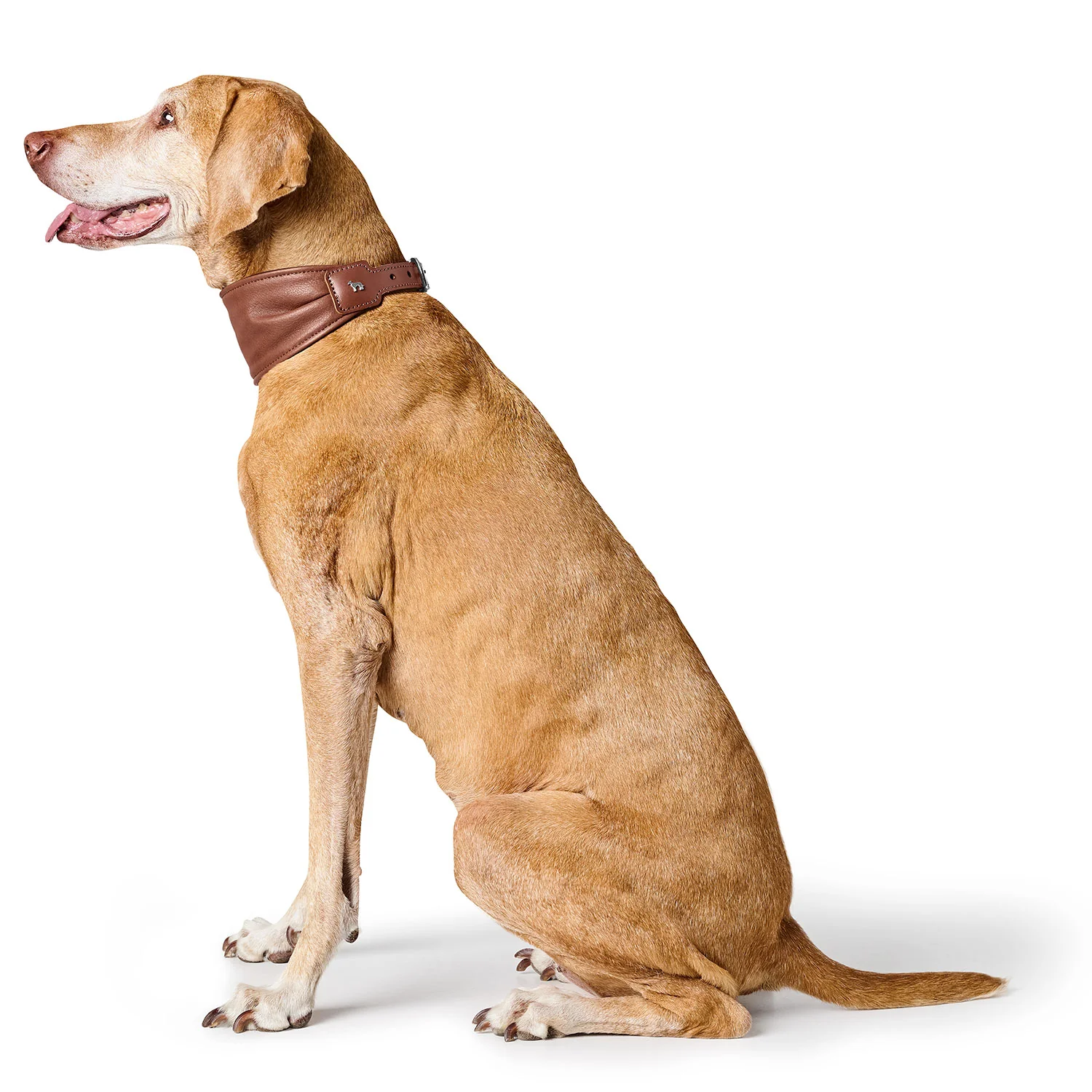 Collier ergonomique Arvika  Collier ergonomique Arvika