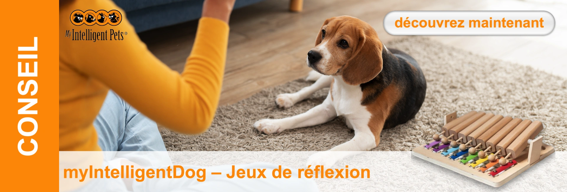 Beagle est allongé sur un tapis, à côté de lui un jouet pour chien interactif avec des tiroirs colorés. Une personne se penche sur lui.
