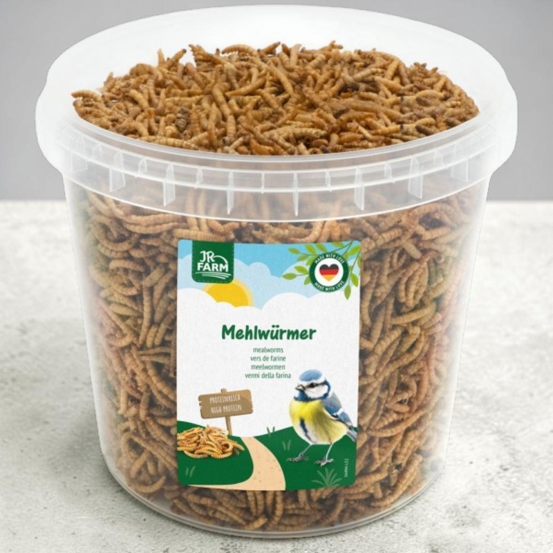 JR Farm Vermi della farina 400g
