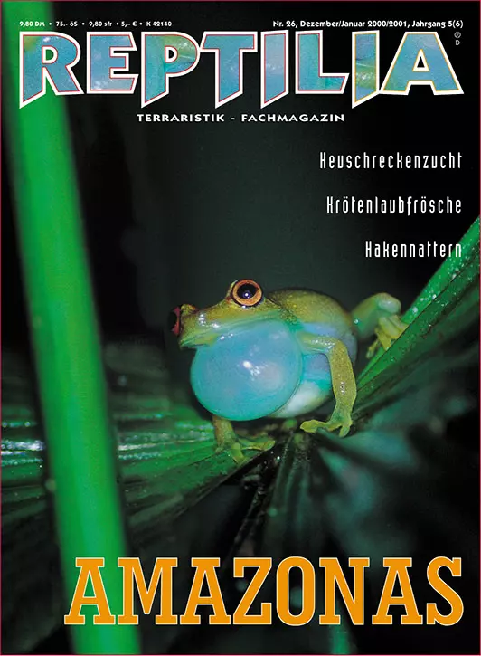 Reptilia 26 - Amazonas