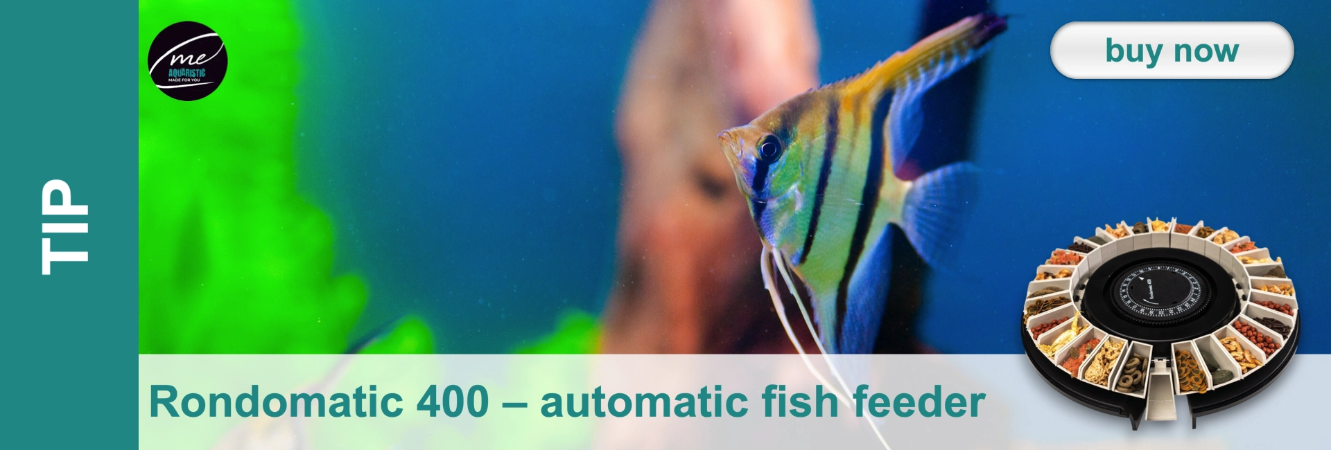 An angelfish with striped fins swims in blue aquarium water, with green plants behind. In the front right corner is a black round Rondomatic 400 automatic feeder with fish food in small compartments. Top right: ‘Buy now’ button.