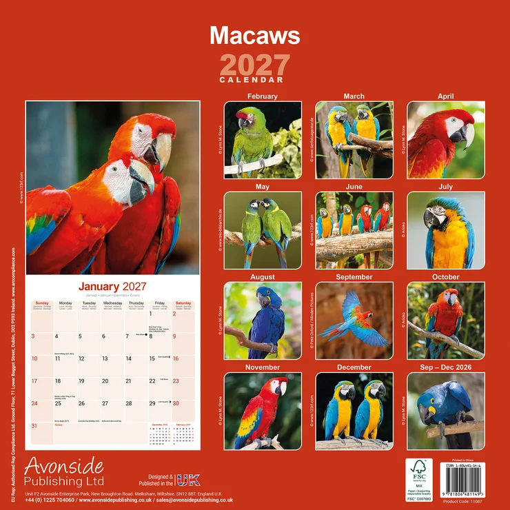 Kalender 2027 Ara - Aras - Macaws