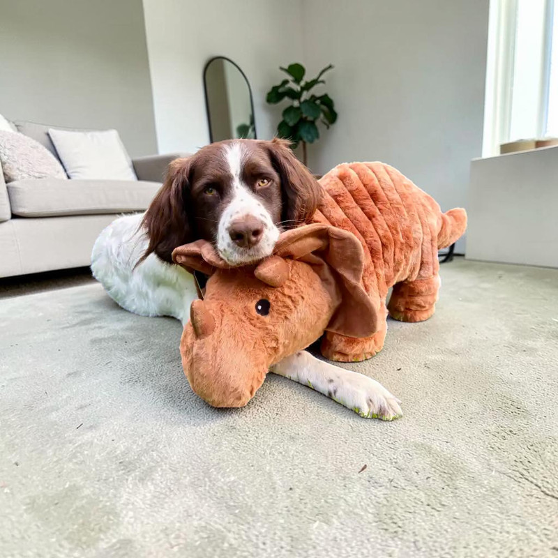 Quapas! Triceratops
