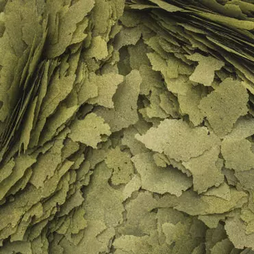 tropical-3-algae-flakes-futter Tropical 3-Algae Flakes Futter