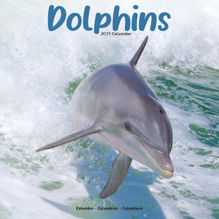 Kalender 2027 Delfine - Dolphins - Delphine