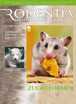 Rodentia Nr. 41 Zuchtformen