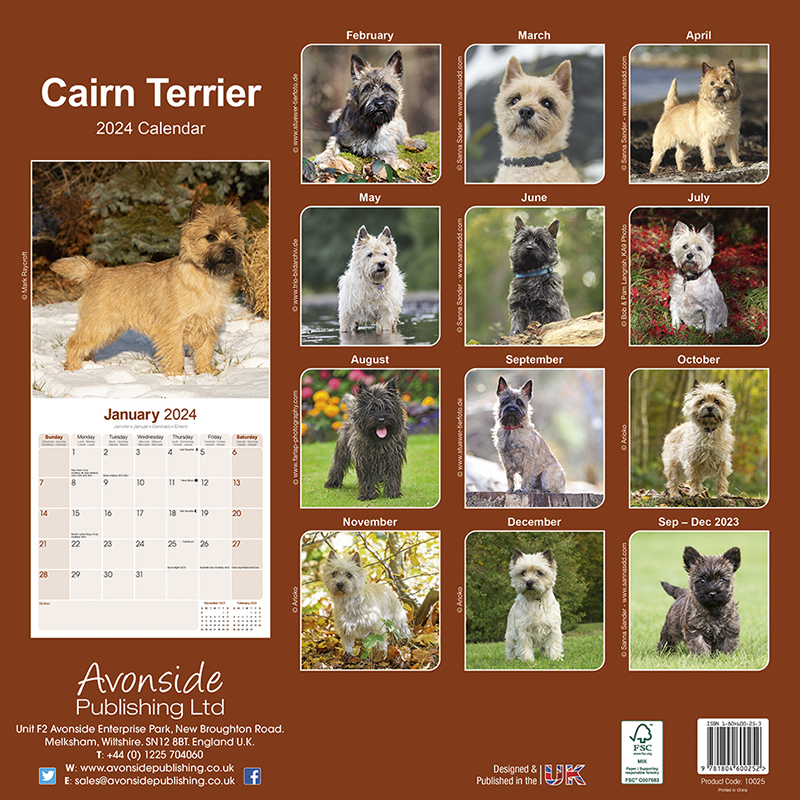 Calendrier 2024 Cairn Terrier