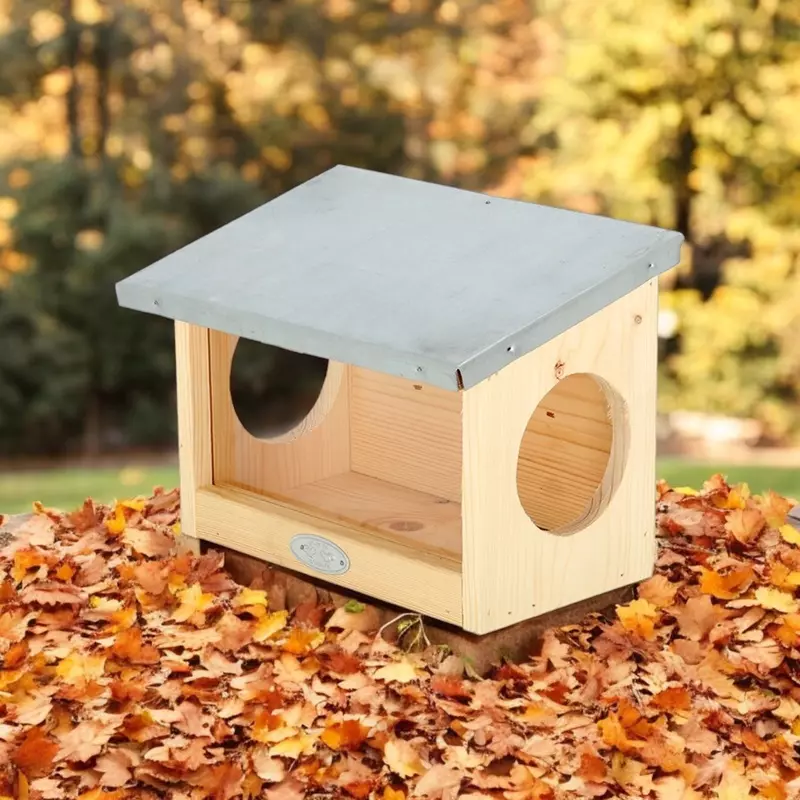 Eichhörnchen Futterhaus