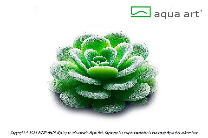 Pinguicula Gina - fleischfressende Pflanze Pinguicula Gina - fleischfressende Pflanze