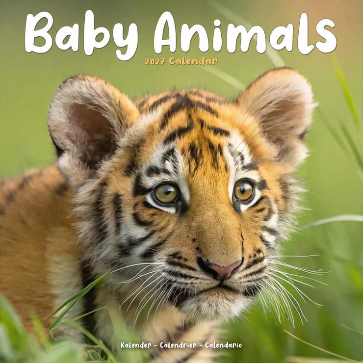 Kalender 2027 Tierkinder - Baby Animals