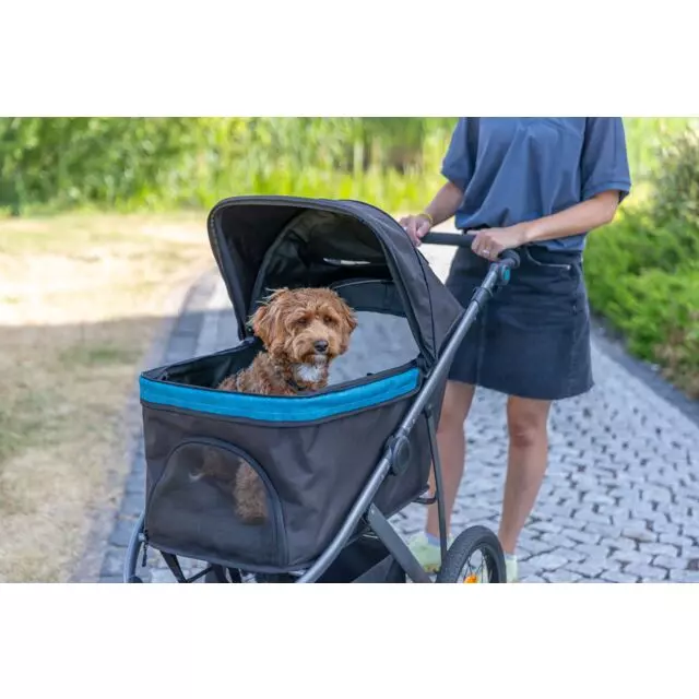 Buggy pour chiens et chats noir/pétrole