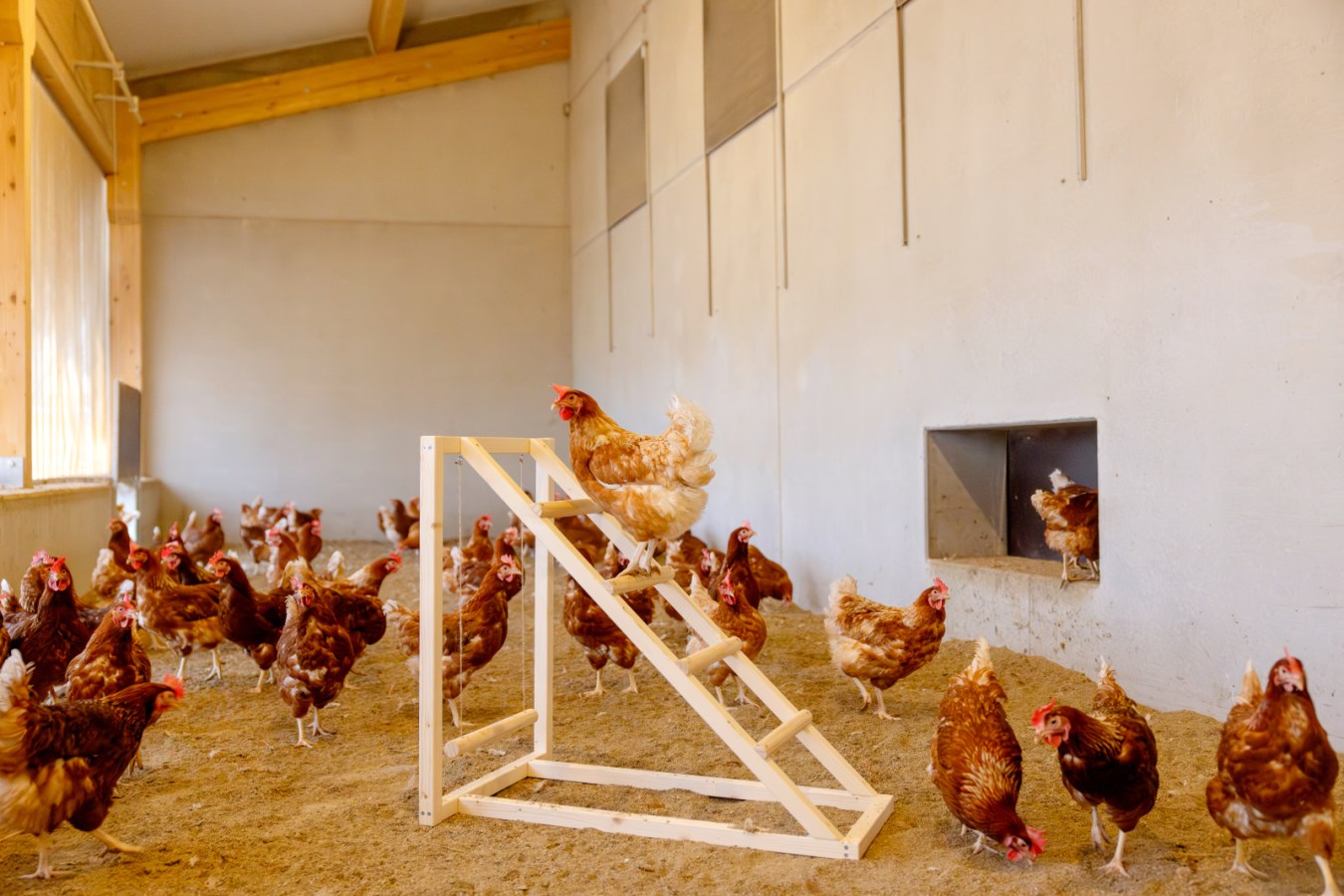 Climbing tower with swing