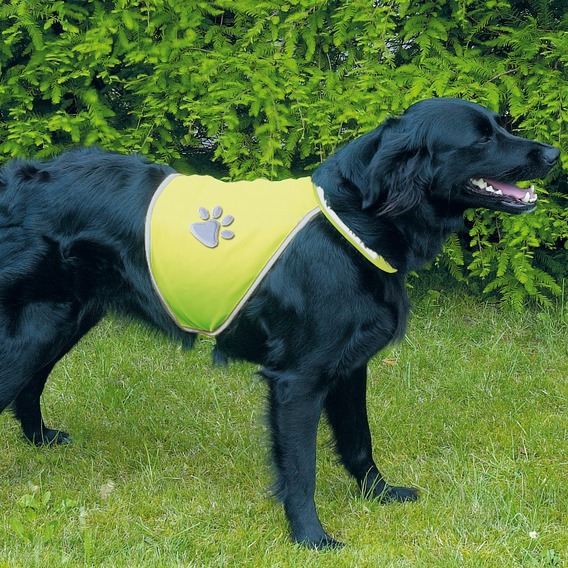 Safety vest for dogs