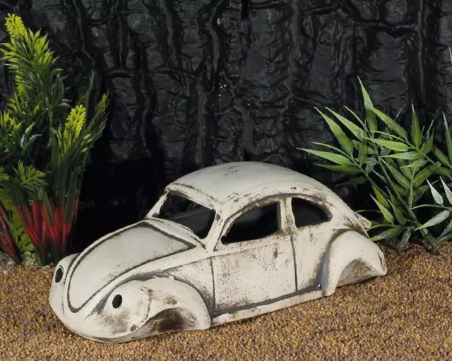 Beetle wreck 24 x 9cm