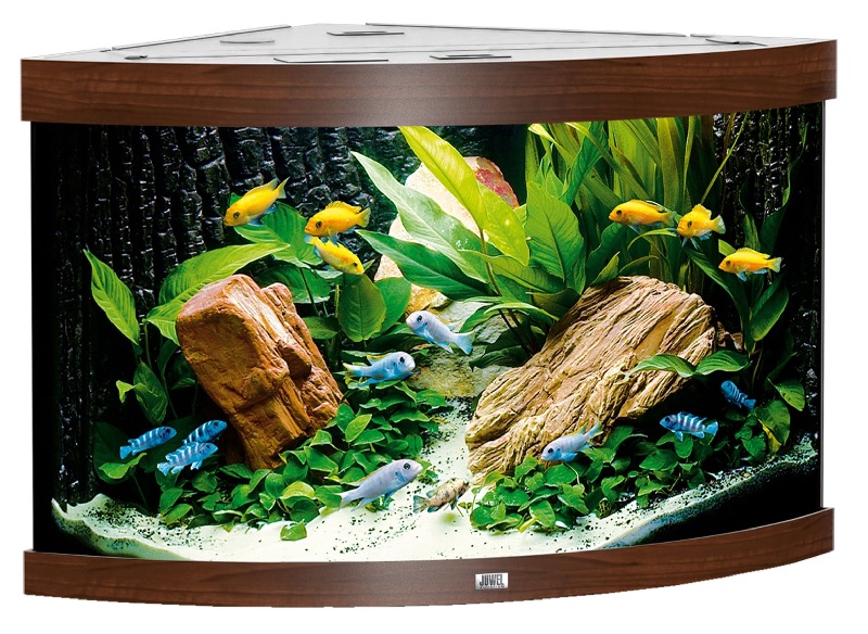 Juwel Trigon Aquarium