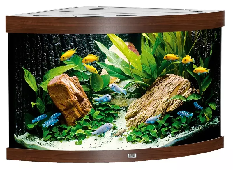 Juwel Trigon Aquarium
