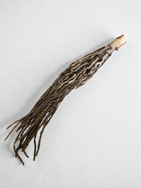 Kokosrispen Palmflowers