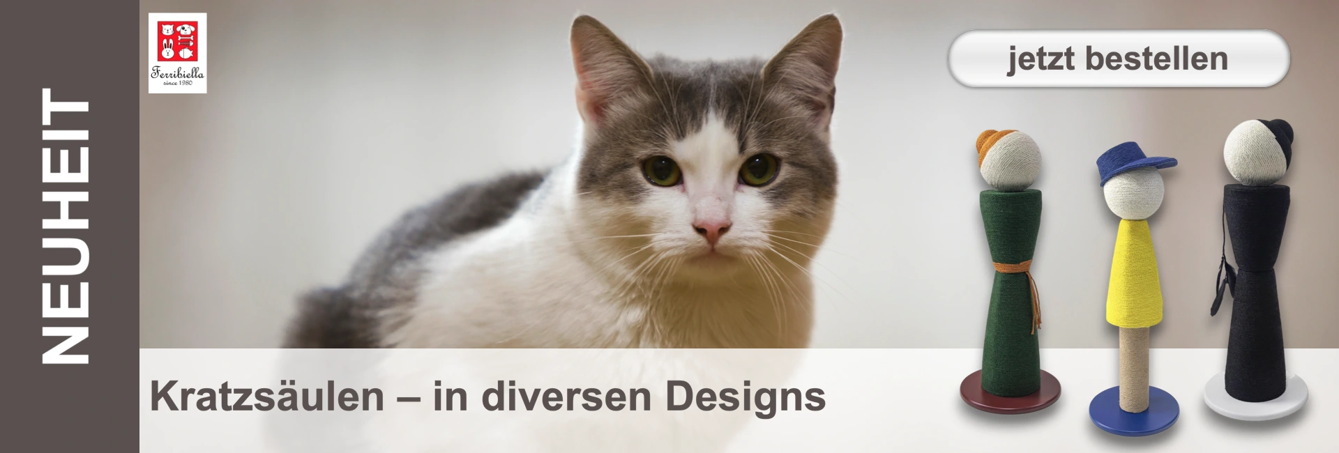 Gatto grigio e bianco con occhi verdi, accanto a tiragraffi decorativi con vari disegni e la scritta "Ordina ora".