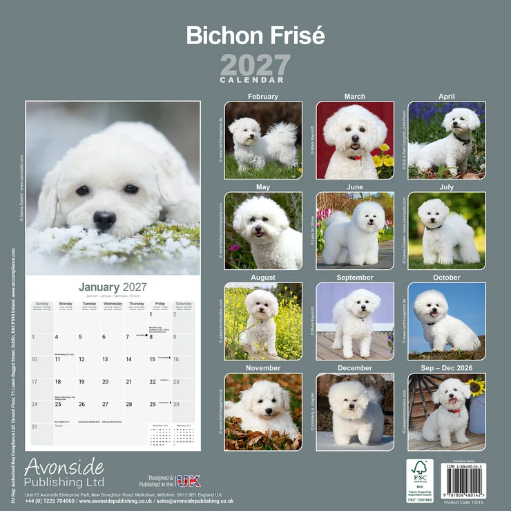 Calendar 2026 Border Collie