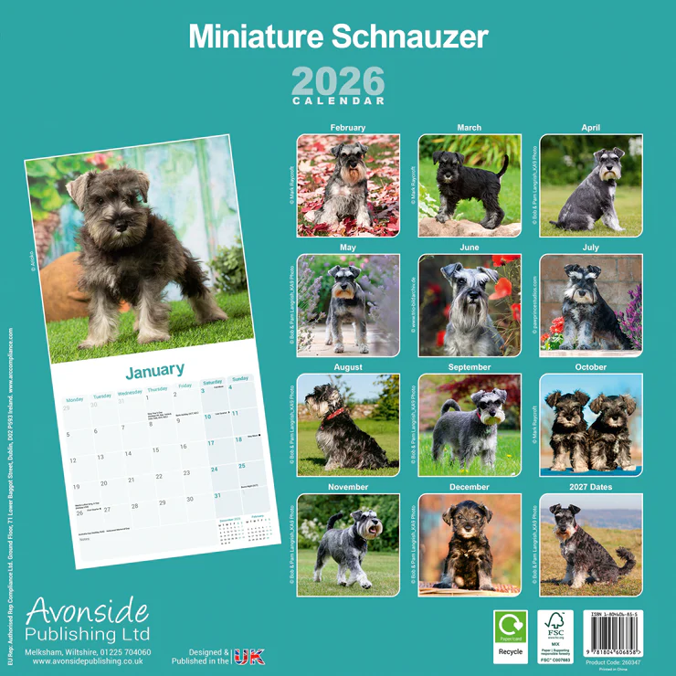 Calendar 2025 - Miniature Schnauzer