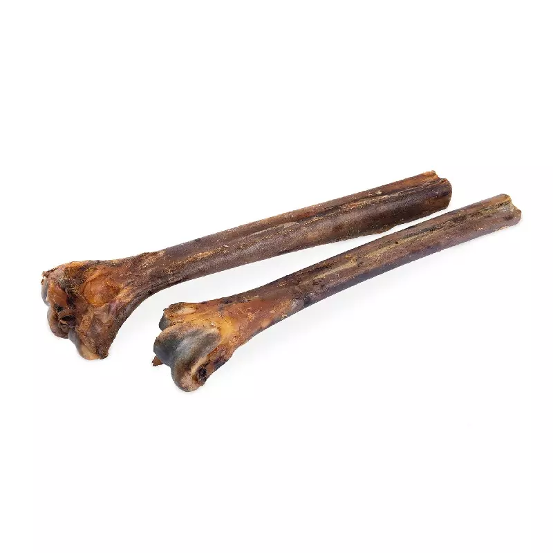 Straussen Mittelfussknochen klein