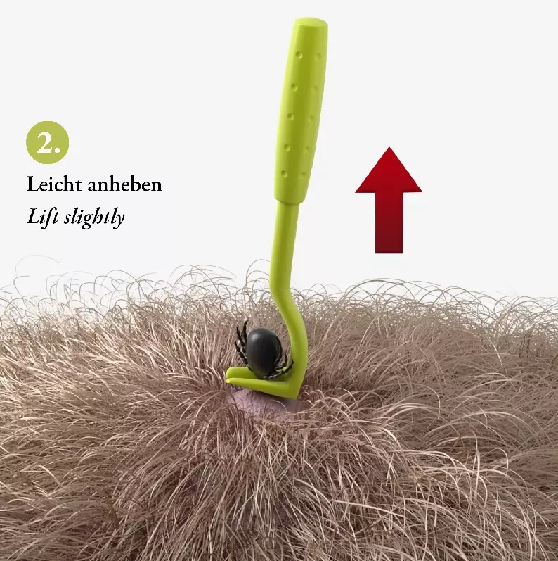 Zeckenhaken