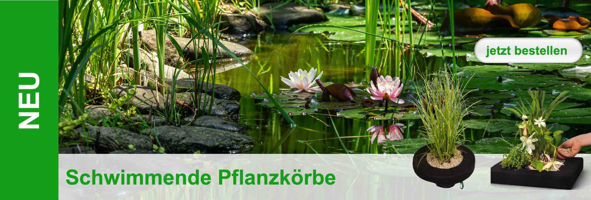 cestini per vaschette-de