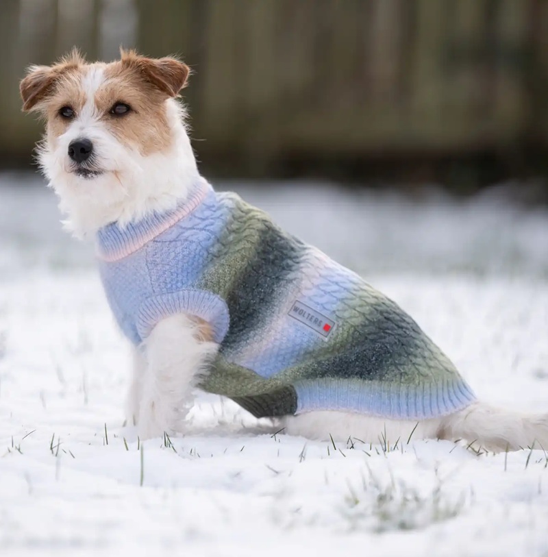 Strickpullover Marinello für Hunde
