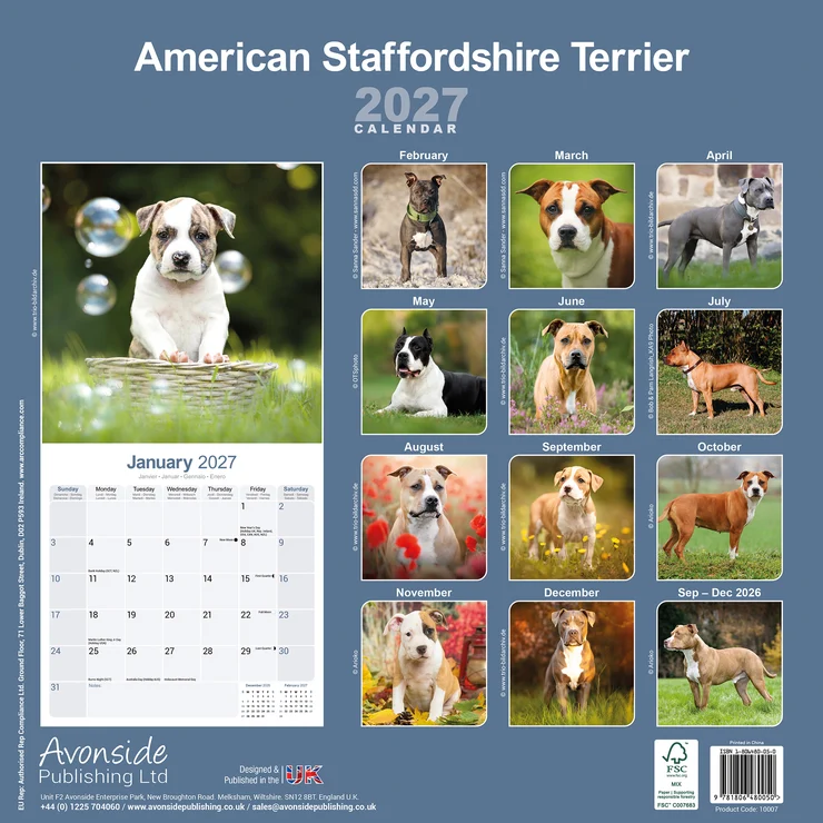 Kalender 2027 American Staffordshire Terrier