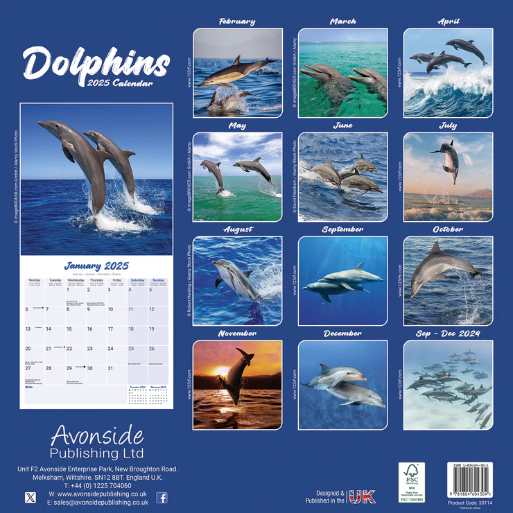 Calendrier 2025 Delphine Calendrier 2025 Delphine