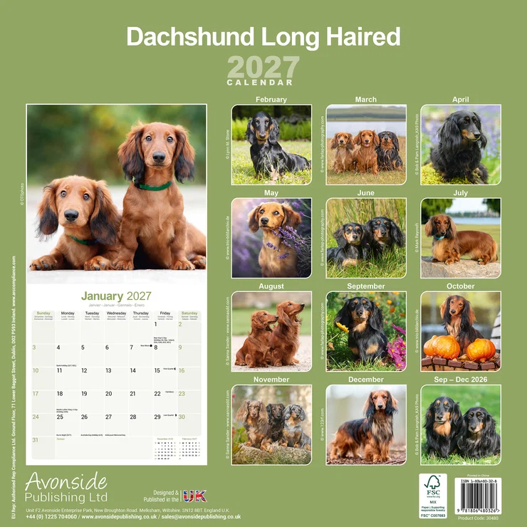 Kalender 2027 Dackel - Langhaar - Dachshund