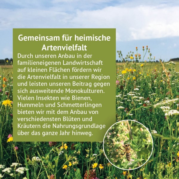 A colourful wildflower meadow with various flowers and grasses beneath a light blue sky. Top left: a green text box with the heading ‘Working together for local biodiversity’. Bottom right: a circular image showing a bee collecting pollen.