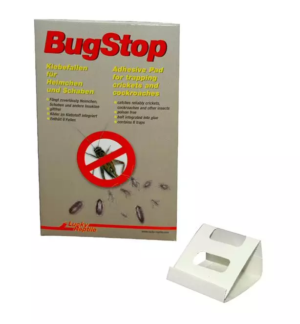 Lucky Reptile Bug Stop - Heimchen Klebefalle