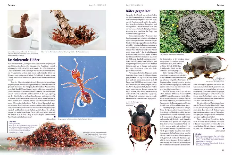bugs-08-hundertfuesser-2 Bugs Nr. 08 - Hundertfüsser
