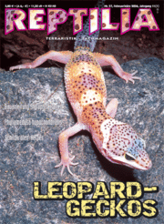 Reptilia 57, Leopardgeckos