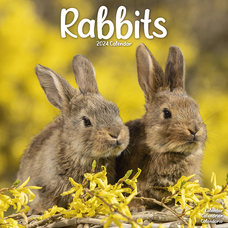 Kalender 2024 Kaninchen - Zwergkaninchen - Rabbits