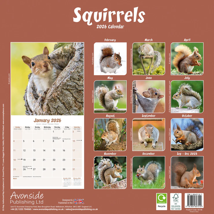 Calendar 2025 Squirrels