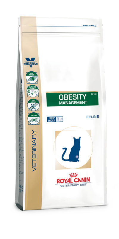 Cat Obesity Management Dry