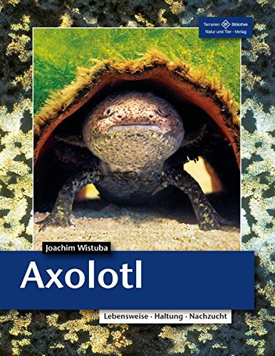 NTV Axolotl