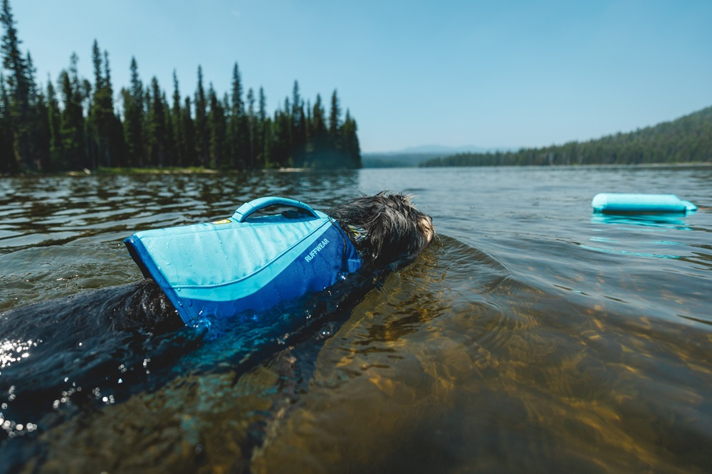 Un chien au pelage noir porte un gilet de sauvetage bleu vif « Ruffwear » et nage dans les eaux claires et peu profondes d’un lac ou d’une rivière. À l’arrière-plan, une forêt de conifères dense sous un ciel bleu ; un objet bleu flotte.
