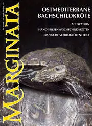 Marginata Nr. 26 - Ostmediterane Bachschildkröte